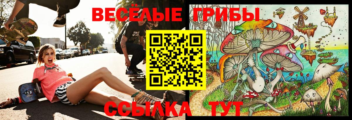 Галлюциногенные грибы Psilocybine cubensis Озёры